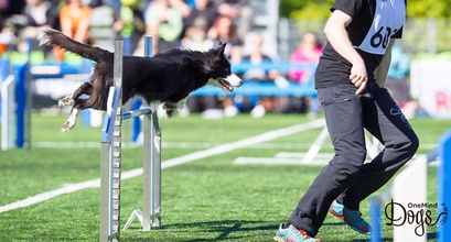 How Often Should You Compete?