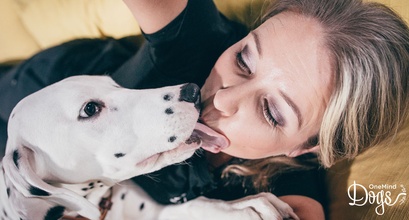 Why Should You Train Your Puppy - and Why Common Sense Is Not Enough?