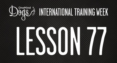 International Training Week - Practicing to Properly Cue Turning