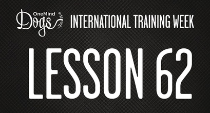 International Training Week - Practicing Collection Cues