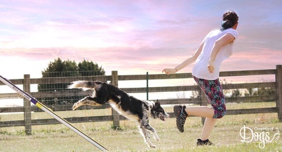 How Dogs Can Help You to Combat Depression