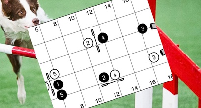 Backyard Agility Drill - False Turns In A Small Sequence
