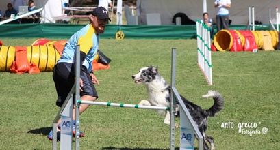 How Another Deaf Border Collie Taught Another Handler How to Listen