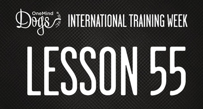 International Training Week -Practicing the Whisky Cross, Part 1