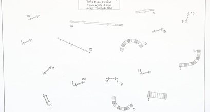 AWC 2019 Course Analysis: Large Team Agility