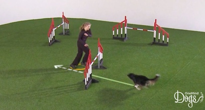 Technique Video Updates: Running on the Dog’s Line