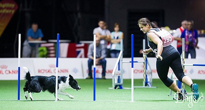 OneMind Dogs Coach Magda - 8th Time At The AWC