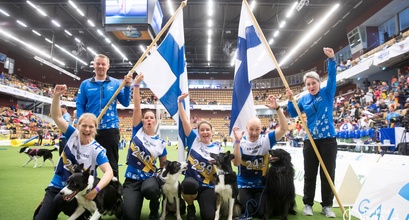 OneMind Dogs Coaches win Team Bronze At The World Championships!