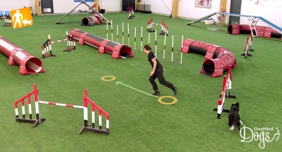 Technique Video Updates: Reverse Spin