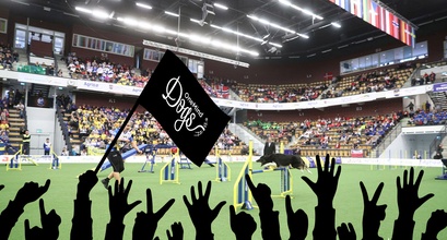 Win a seat in the OneMind Dogs VIP box at the FCI Agility World Championships 2019