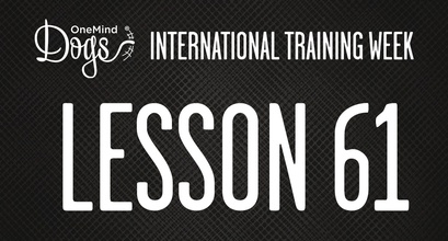 International Training Week - Reacting To Collection Cues
