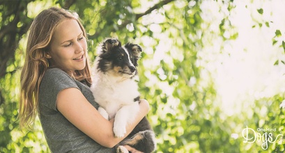Opportunity to become one of OneMind Dogs’ owners