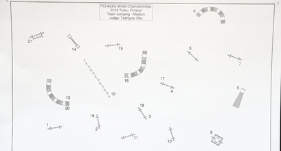 AWC 2019 Course Analysis: Medium Team Jumping Course